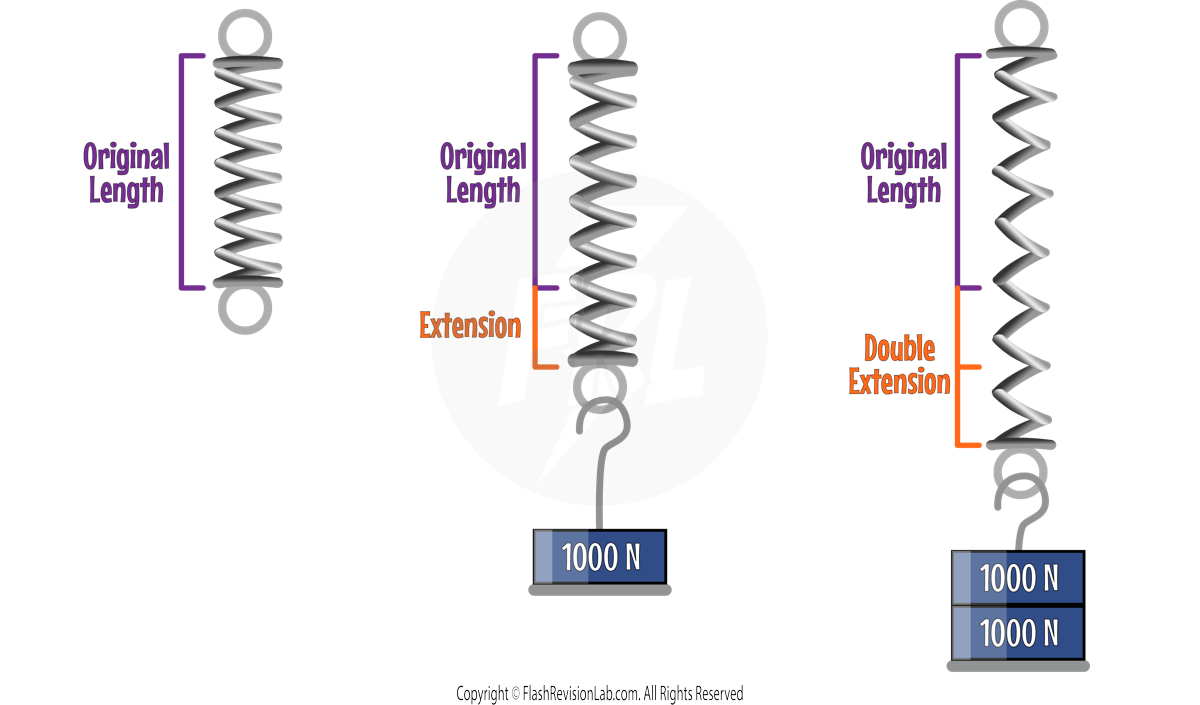 Hookes Law Spring